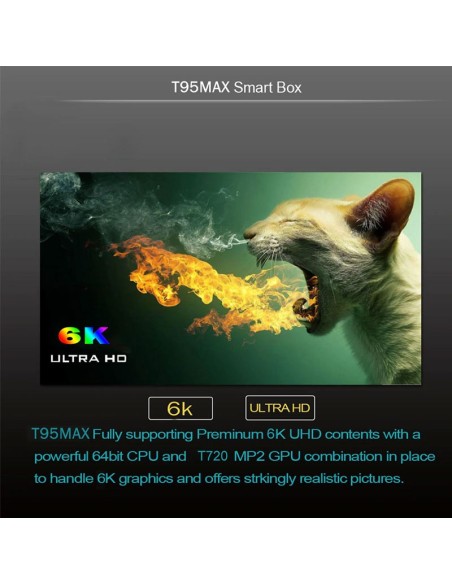 Acemax T95 Max