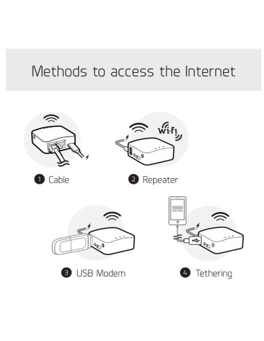 Enrutador VPN WiFi Viark