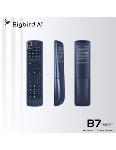 BigBird AI B7 Neo: Receptor IPTV para TV por Internet | Mando a distancia 🛒 Comprar BigBird AI B7 Neo