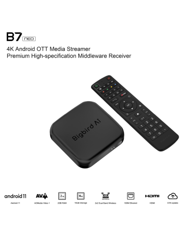 BigBird AI B7 Neo: Receptor IPTV para TV por Internet | TV Box y mando 🛒 Comprar BigBird AI B7 Neo