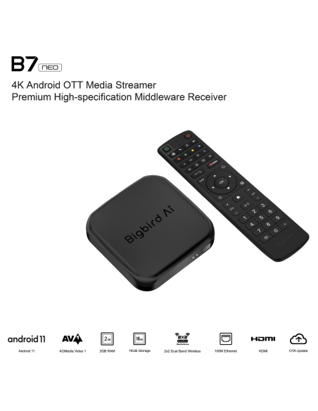 BigBird AI B7 Neo: Receptor IPTV para TV por Internet | TV Box y mando 🛒 Comprar BigBird AI B7 Neo BigBird AI B7 Neo: Receptor IPTV para TV por Internet | TV Box y mando 🛒 Comprar BigBird AI B7 Neo